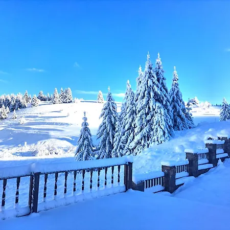 Vilă Stoykite-pamporovo Nature Retreat *